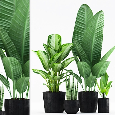 Tropical Plants Set: 175 Varieties 3D model image 1 
