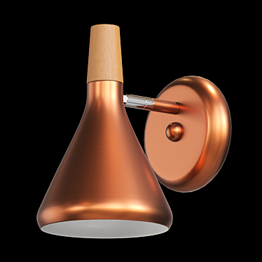 Copper Modern Wall Lamp 3D model image 1 