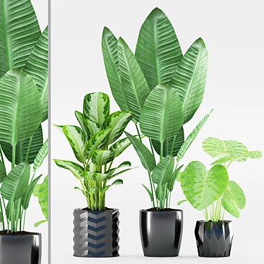 Exotic Plants in Black Ceramic 3D model image 1 