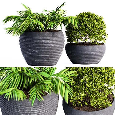Stylish Black Pot for Outdoor Plants 3D model image 1 