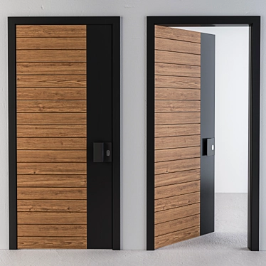 Sleek Wood & Black Door 3D model image 1 