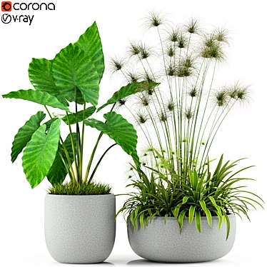 Botanical Bliss: Stunning Plant Collection 3D model image 1 