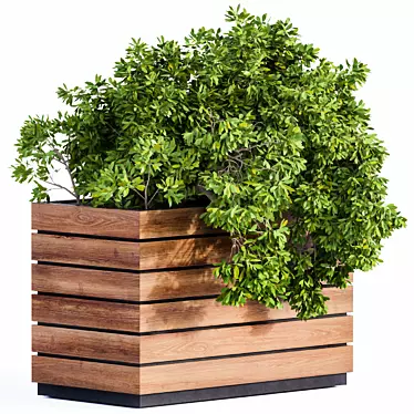 Green & Wood Plant Box 3D model image 1 