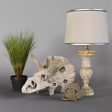 Decorative set with a dinosaur skull