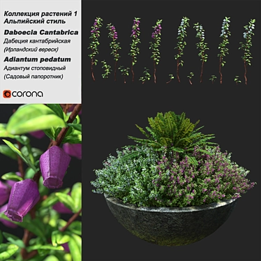Botanical Bliss: Vase with Heather and Fern 3D model image 1 