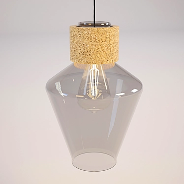 Elegant Edla Pendant Light 3D model image 1 