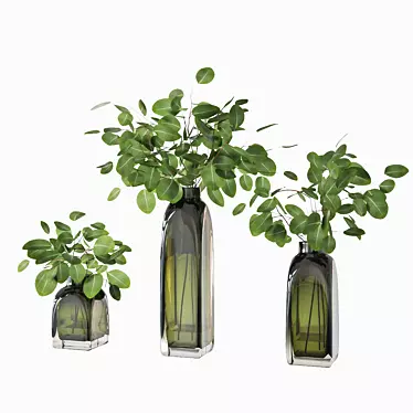 Silver Dollar Eucalyptus Vase 3D model image 1 