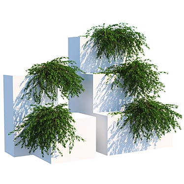 Polycount 662K Plant 3D model image 1 