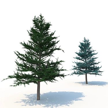 Spruce V1: High-Quality 3D Tree Model 3D model image 1 