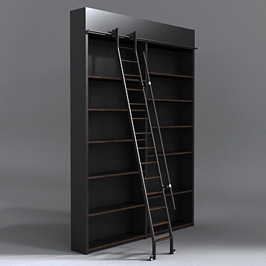 Versatile Ladder & Bookshelf 3D model image 1 