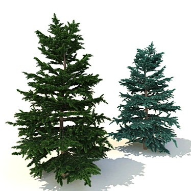 Spruce V3 - High-quality 3D Tree Model 3D model image 1 