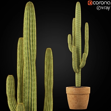 Green Oasis Collection: 253 Varieties 3D model image 1 