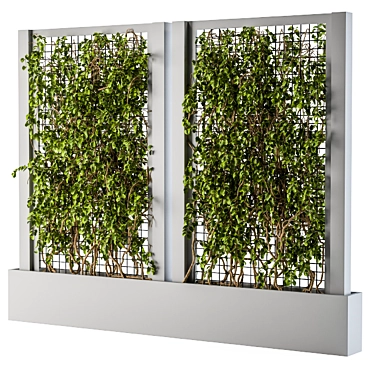 Elegant Gray Ivy Box Plants 3D model image 1 