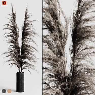 Delicate Pampas Bouquet 3D model image 1 