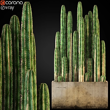 Lush Greenery Assortment 3D model image 1 