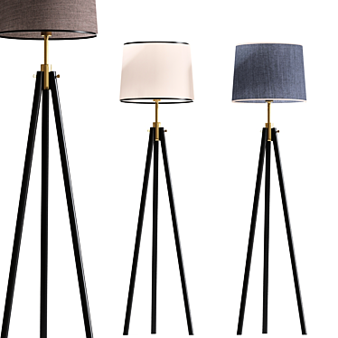 Modern Tripod Floor Lamp Set 3D model image 1 