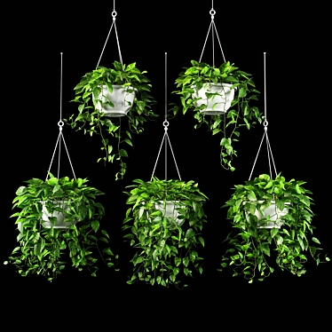 13 Piece Plant Set 3D model image 1 