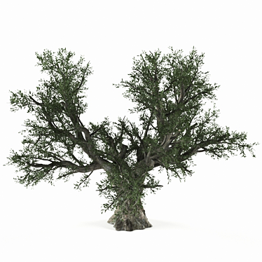 Realistic Olive Tree Sculpture 3D model image 1 