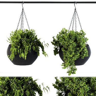 Black Pot Hanging Plant 3D model image 1 