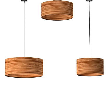 Eglo Cannafesca Chandeliers 3D model image 1 