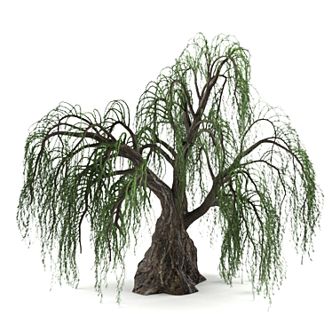 Lifelike Willow Tree Sculpture 3D model image 1 
