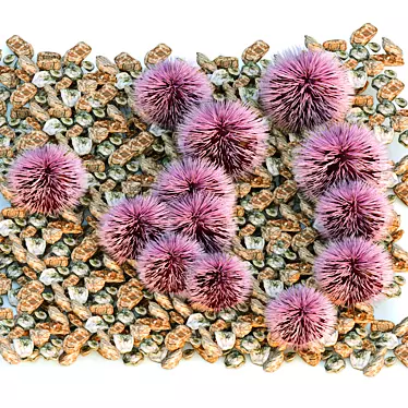 Spectacular Purple Sea Urchin 3D model image 1 