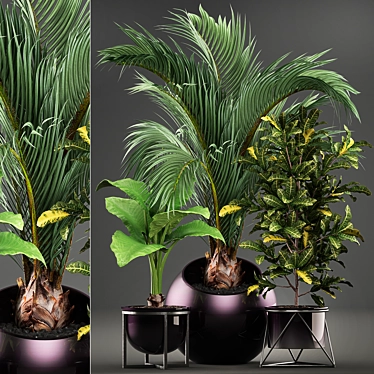 Exotic Plant Collection 3D model image 1 