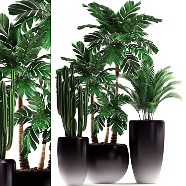 Exotic Indoor Plant Collection 3D model image 1 