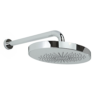 Luxury Signorini 3D Shower Head 3D model image 1 