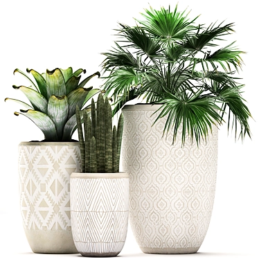 Exotic Plant Collection - Scandinavian Style 3D model image 1 