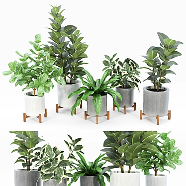 Bungalow Planter Set: Versatile and Stylish 3D model image 1 