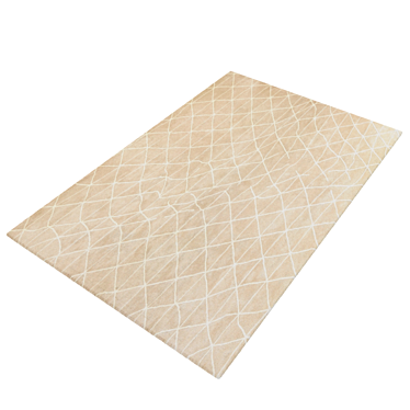 Ginger & Jagger Rumpled Rug 3D model image 1 