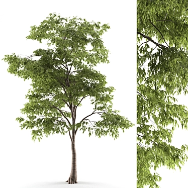 Polys 2 949 715 3D Tree 3D model image 1 
