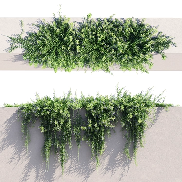 Rosemary 2 - Versatile, High-Quality Object 3D model image 1 