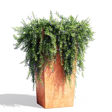 1.1m Rosemary Pot 3D model image 1 