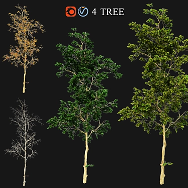 Versatile Four Seasons Trees 3D model image 1 