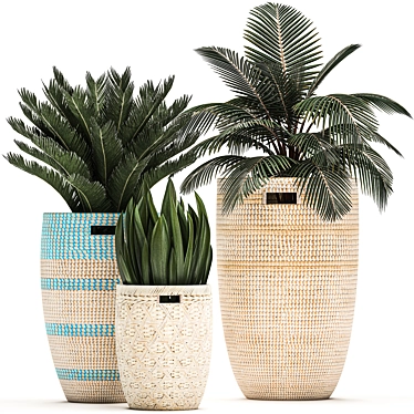 Tropical Plant Collection: Exotic & Decorative in Baskets 3D model image 1 