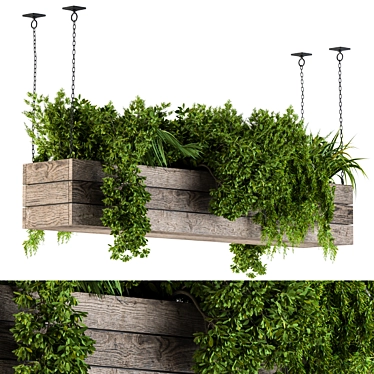 Wooden Box Hanging Plants 3D model image 1 