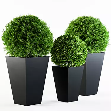 Round Outdoor Plants: Enhance Your Outdoor Space 3D model image 1 