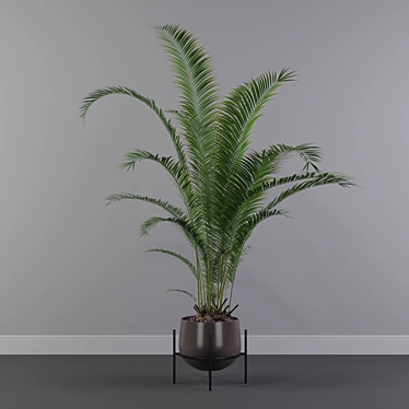 Tropical Oasis: Areca Palm 01 3D model image 1 
