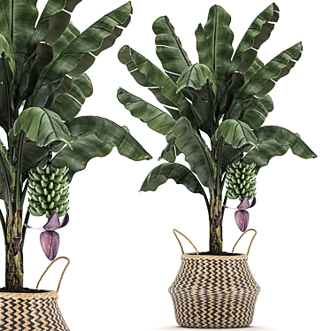 Tropical Plant Basket: Exotic Decor Collection 3D model image 1 