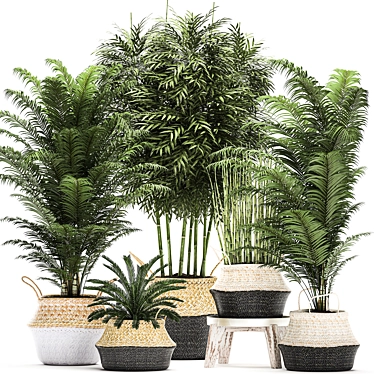 Tropical Plant Collection in Rattan Basket 3D model image 1 