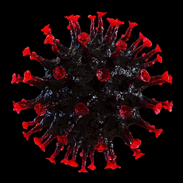 COVID-19 Corona Virus Model 3D model image 1 