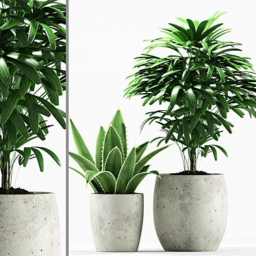 Tropical Greenery Pot Set 3D model image 1 