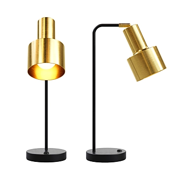 Elegant Metal Desk Lamp 3D model image 1 