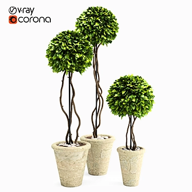 Title: Artificial Boxwood Potted Plant 3D model image 1 