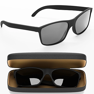 Elegant Sunnies with Case 3D model image 1 