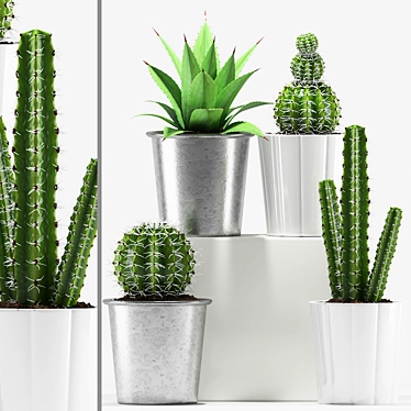 Desert Oasis: Agave & Cactus 3D model image 1 