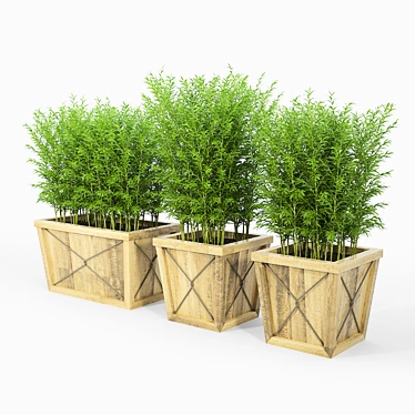 Eco-friendly Bamboo Storage Box 3D model image 1 