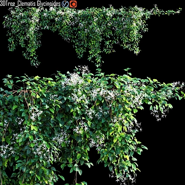 Gorgeous Creeper Plant Model 3D model image 1 